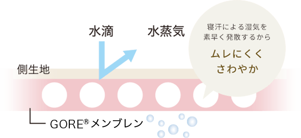 寝汗による湿気を素早く発散するからムレにくくさわやか